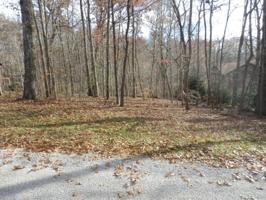 139 Overlook Cove  60