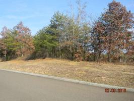 Lot 88 Red Wing Drive 88