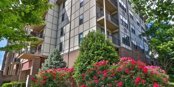 445 W. Blount Avenue
