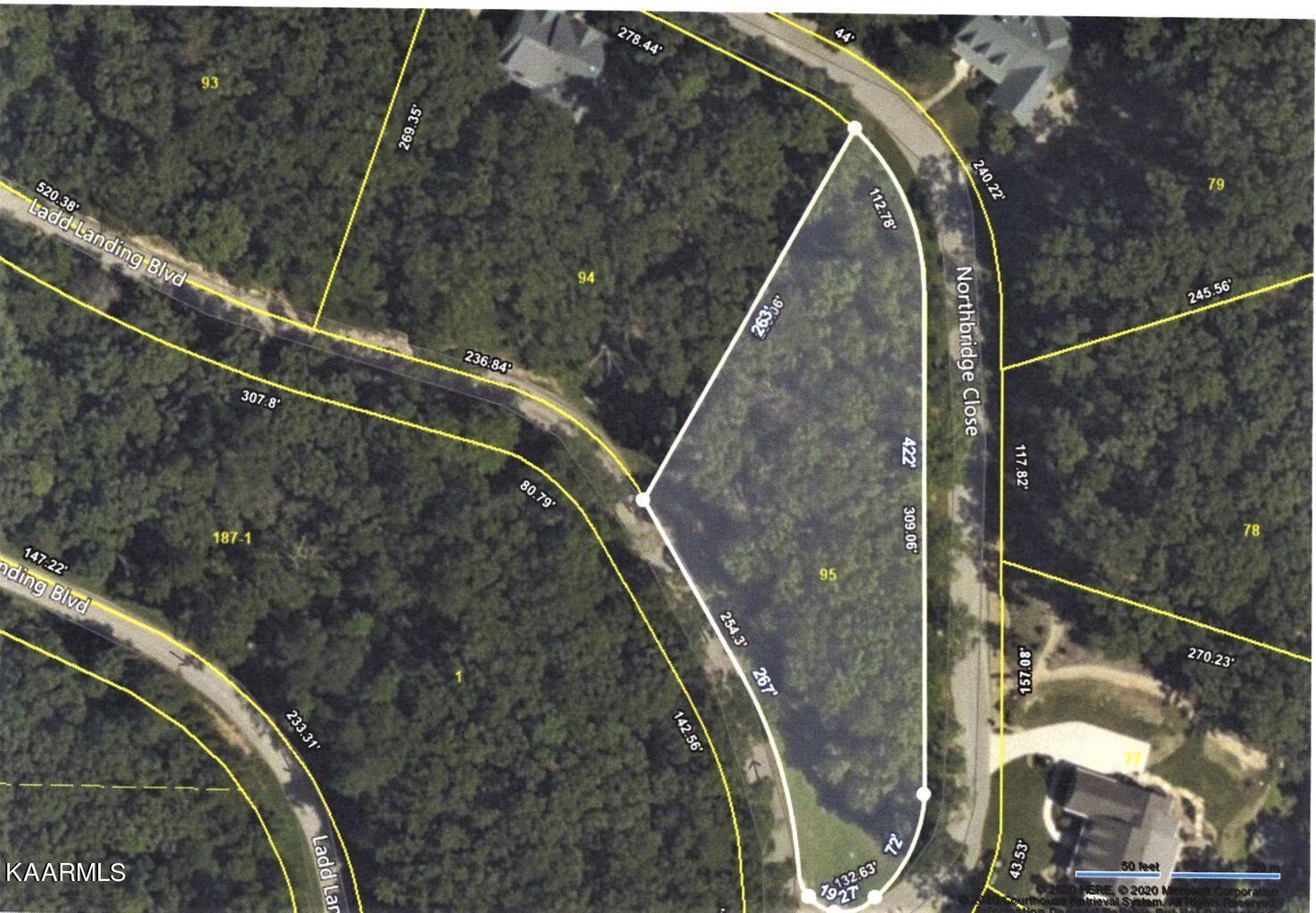 Image 3: Lot 95