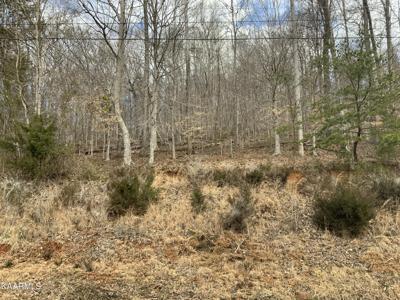 L-32 Highland Trace Rd.