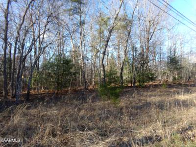 3059 Shawnee Rd