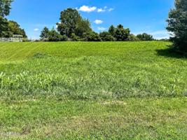 Lot #16 Lane Whirlwind Point