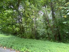 Lot 172 Eagle's Cove Parkway