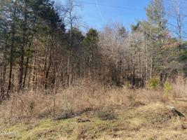 14A E Norris Point Rd