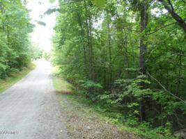 Buck Horn Drive