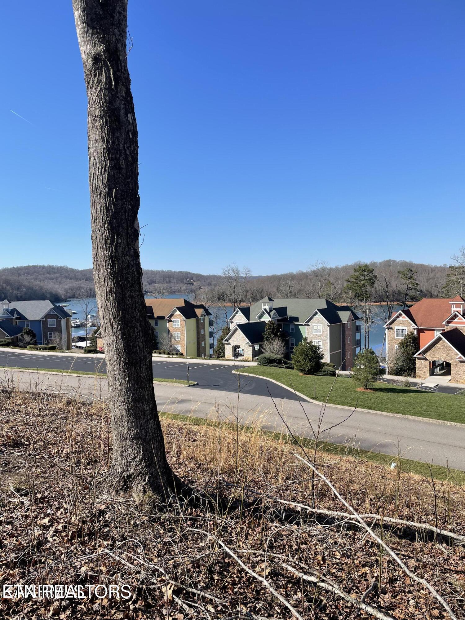 Image 3: lot 8 2