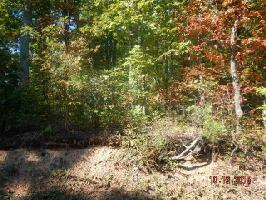 Proffitt Ridge Rd