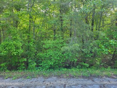 149 Tawny Oak Loop