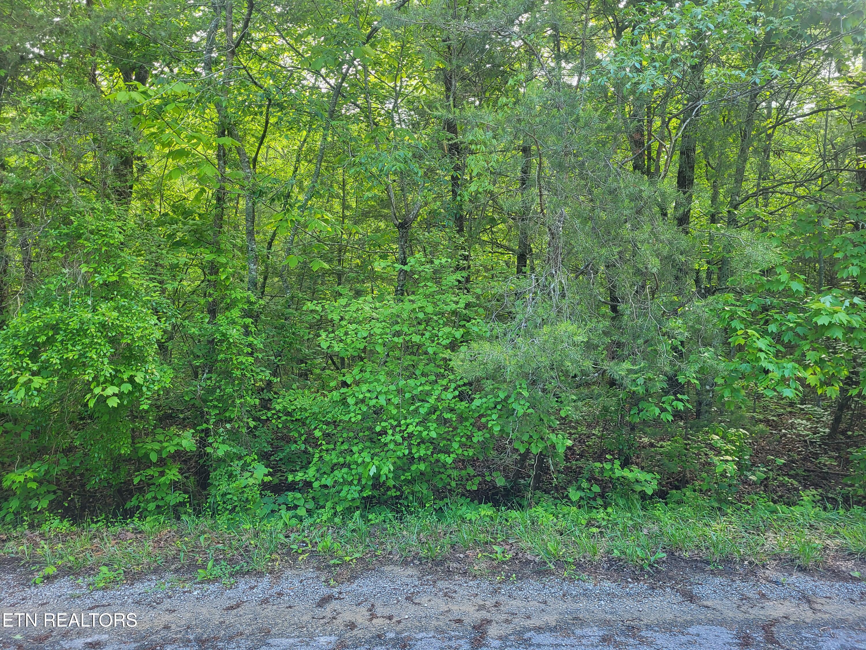 Image 1: 149 tawny oak loop