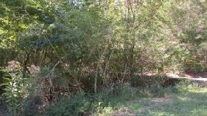 Tract # 8 Three Point Rd