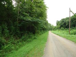 Scenic River Rd