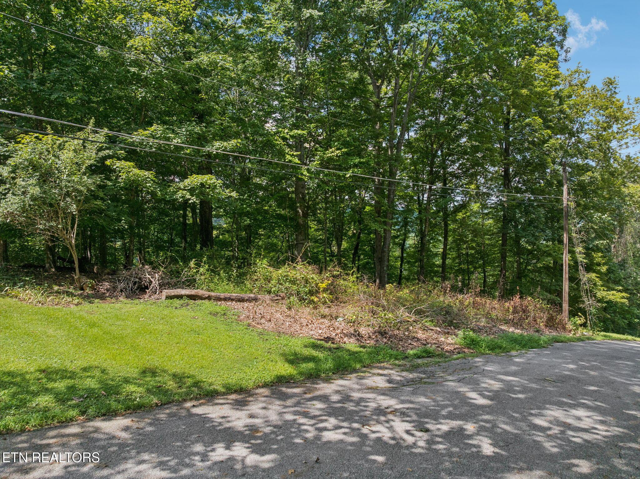 Image 2: 1-web-or-mls-Lot 228 Riverbend Dr - 001