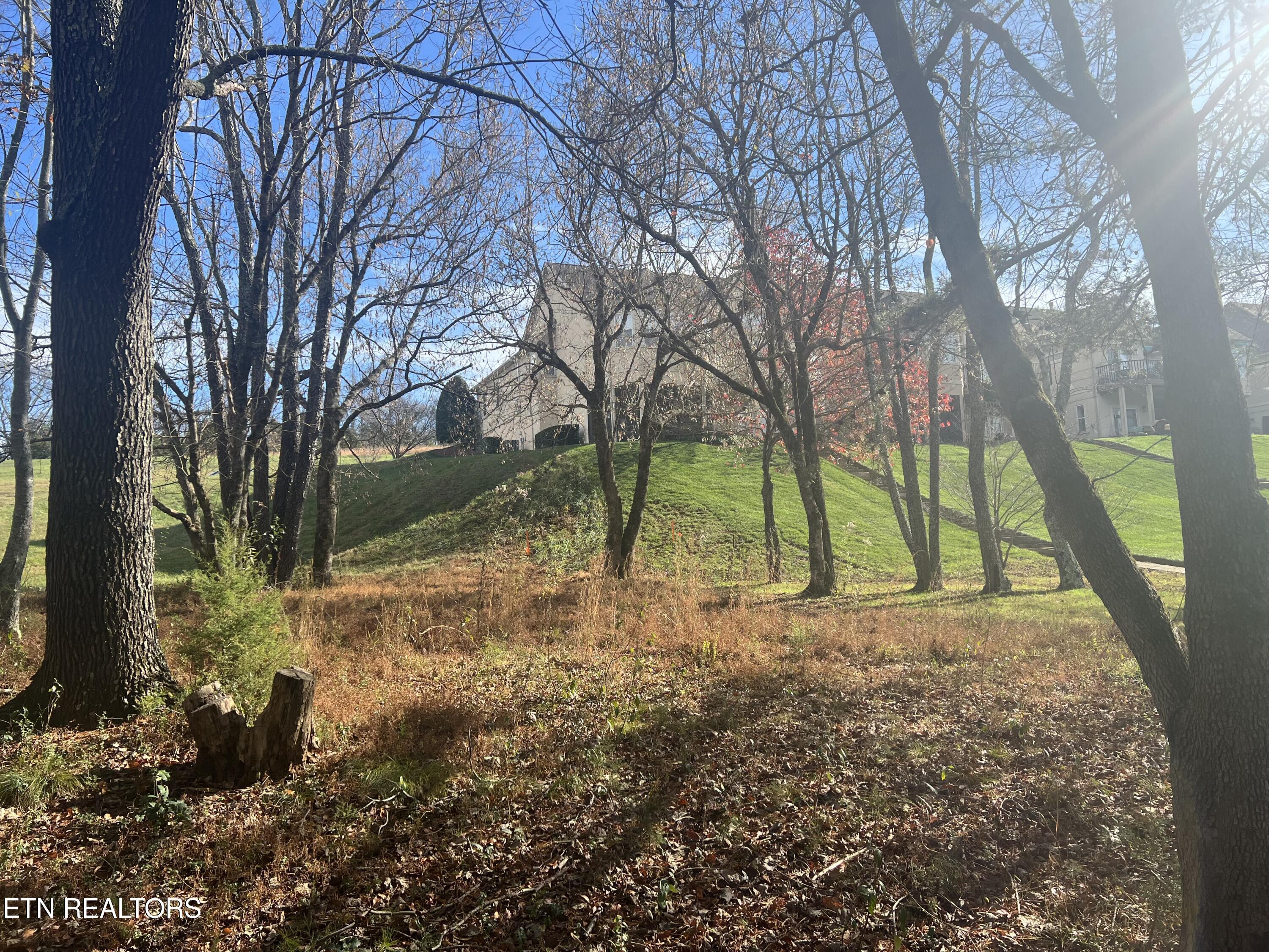 Image 3: IMG_1070