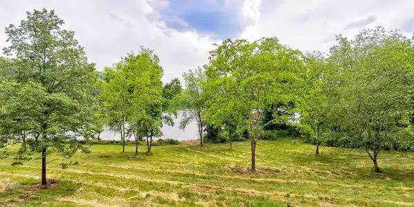 Lot 1 Emory Chruch Rd