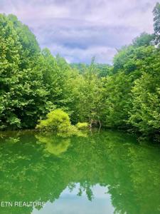 River Ridge Road Tract 1