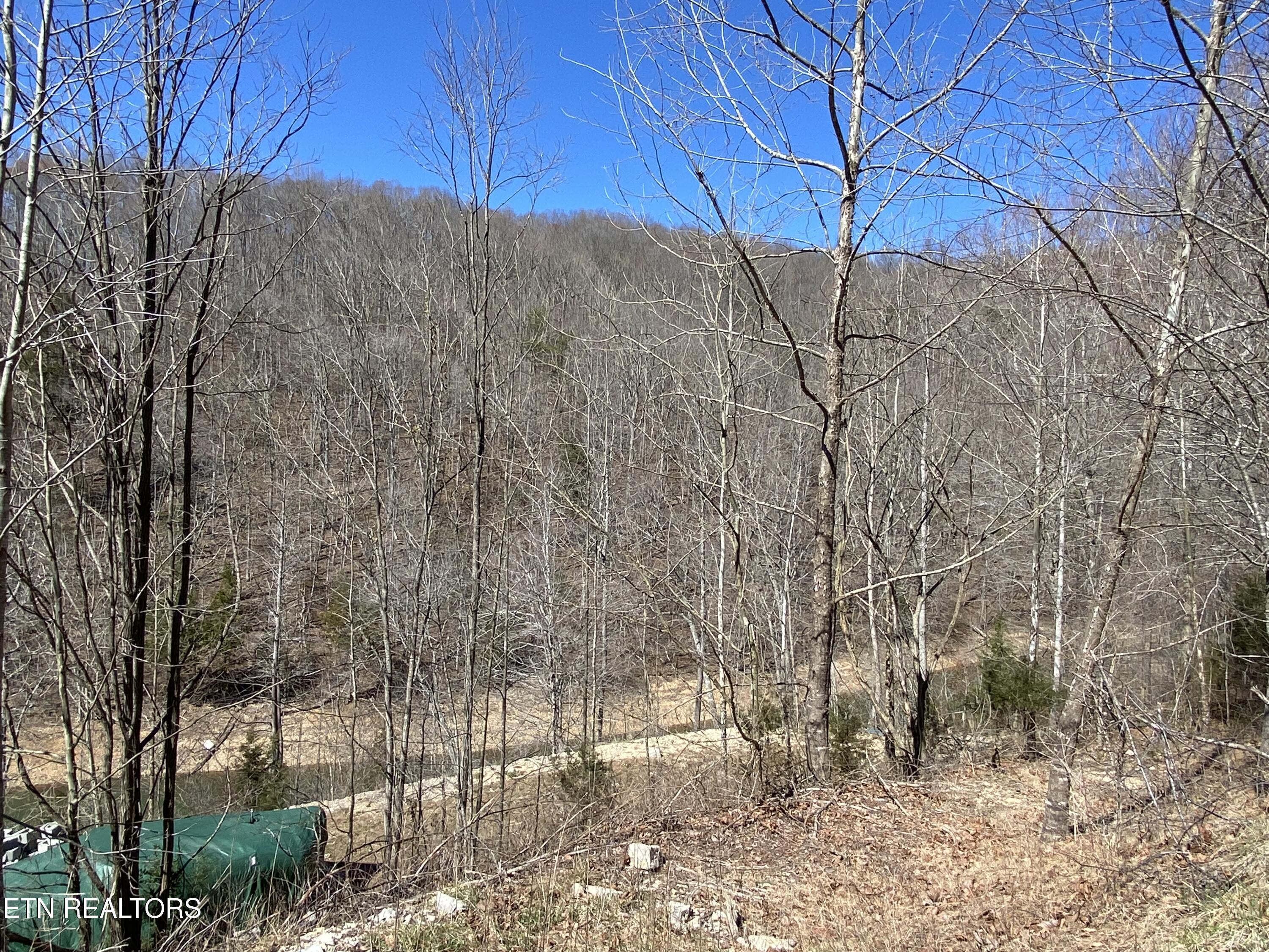 Image 3: IMG_7663