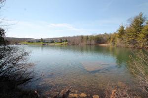 126 Brambleton Drive 358