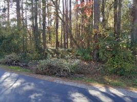 602 Tanasi Lane