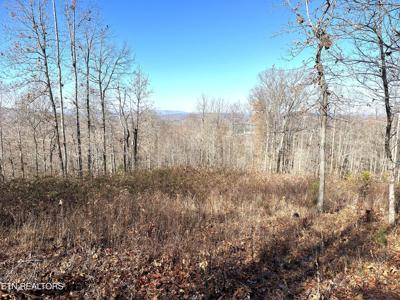 283 Tumbling Run Estates
