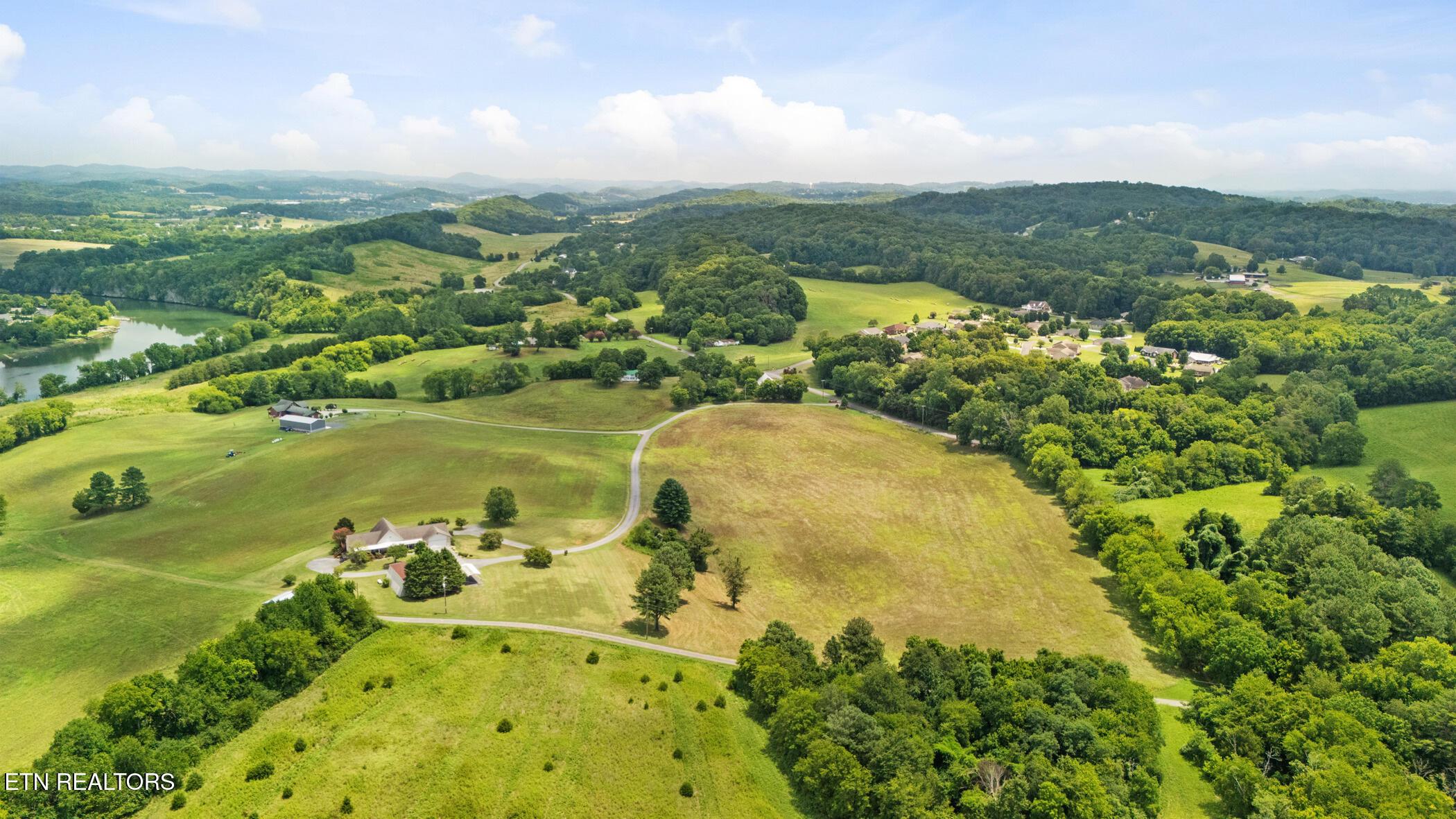 Image 4: dji_20250724131537_0985_d