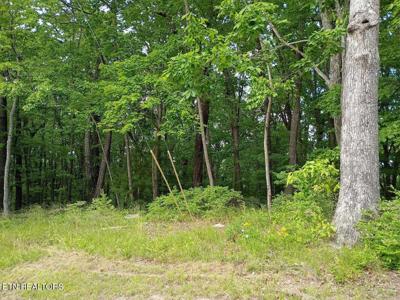 108 Pineridge Loop