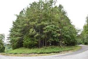 Lot 61 STONEY ROCK Lane