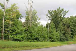 Lot 501 Cedar Gate Lane