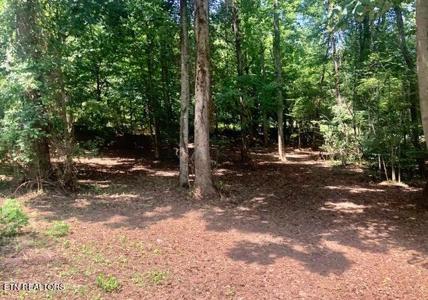 Grace Ridge Rd