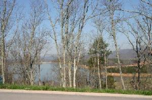1984 Turners Landing Rd 16