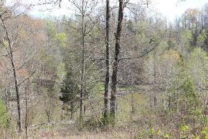 Lot 4 Mt.Vista Dr.  4