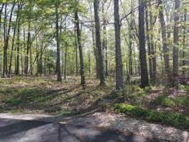 218 Daleyuhski Lane 10
