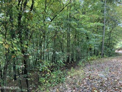 L-68 Grandpas Ridge