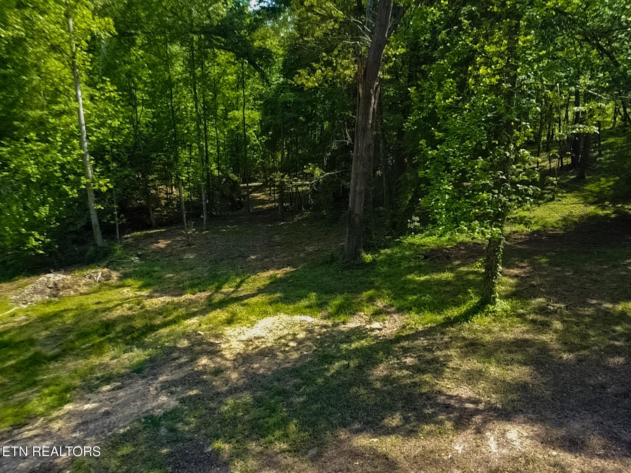 Image 3: 2026-04-24-15-44-36-178