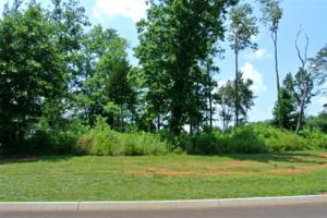 Lot 67 Cardinal Way 67
