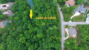 204 Amega Trace