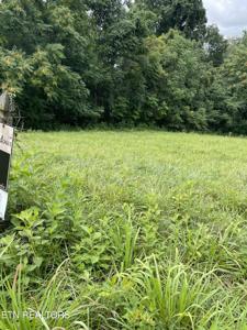 Overton Rd, Lot 2