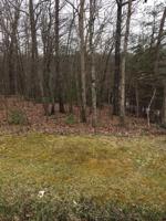 191 Lakeshire Drive