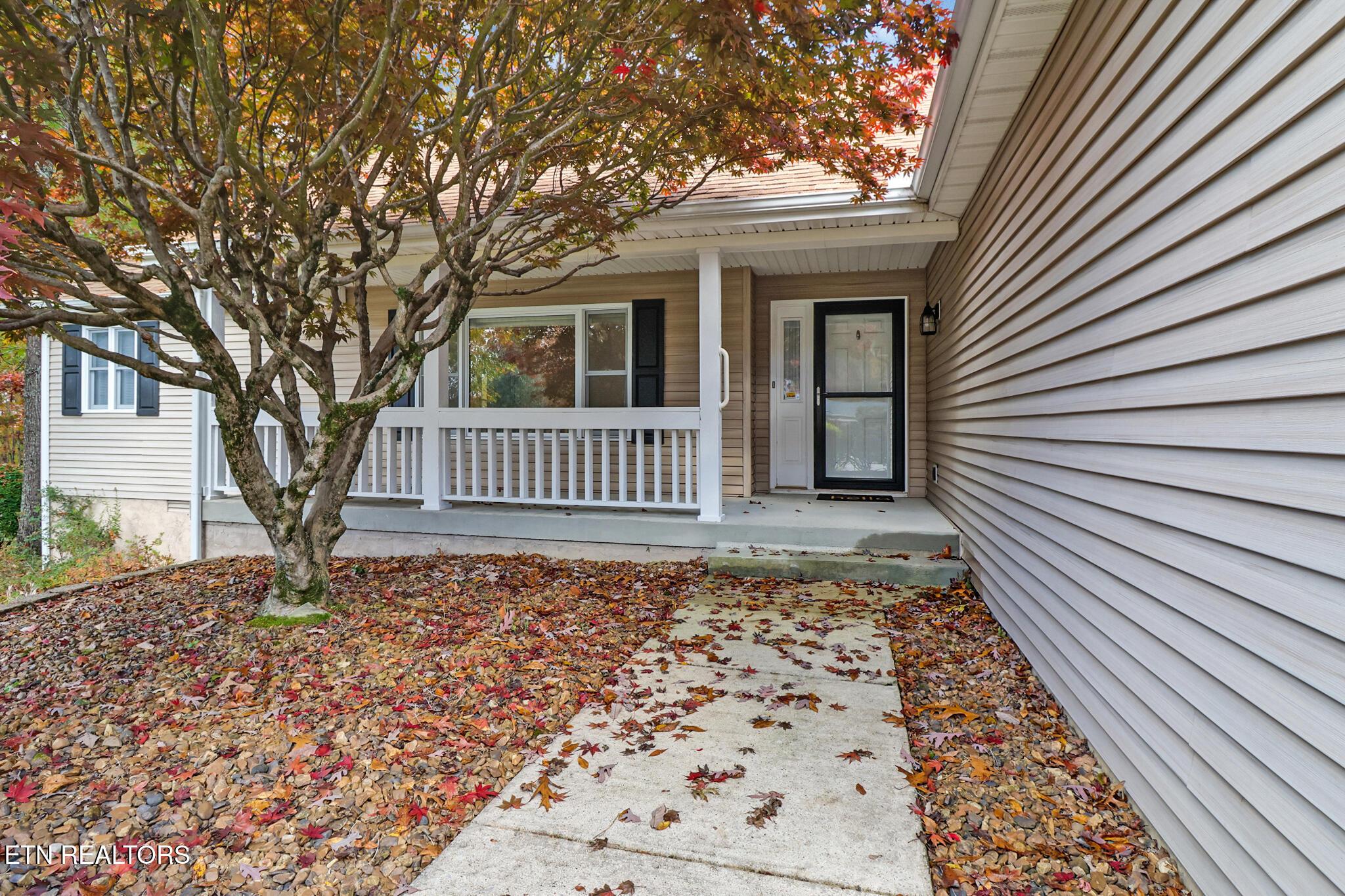 Image 2: if1a1153-if1a1157