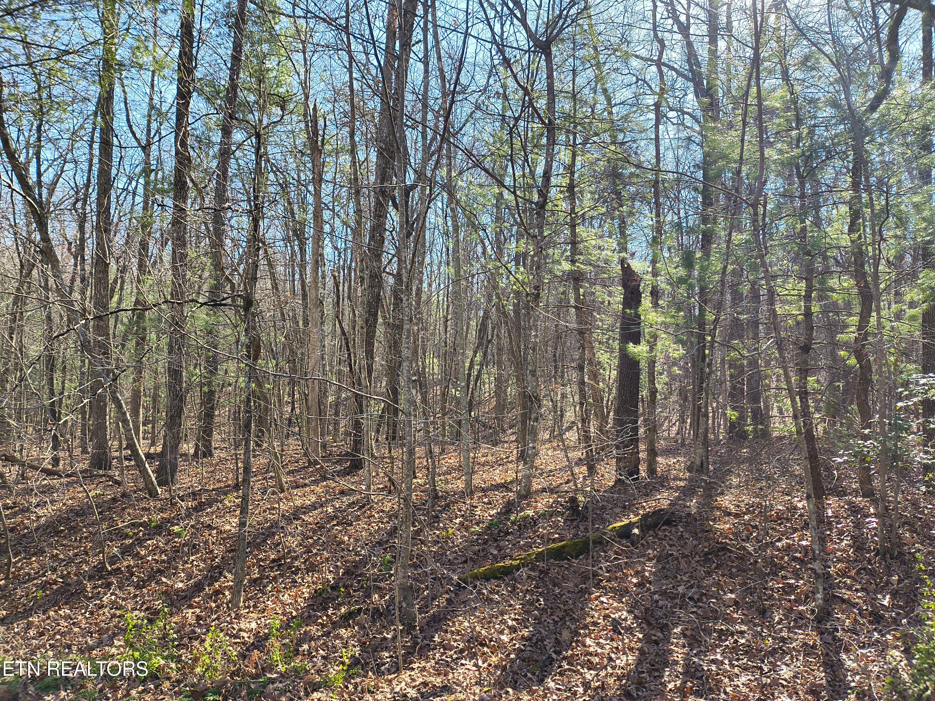 Image 1: IMG_20260101_113756125_HDR