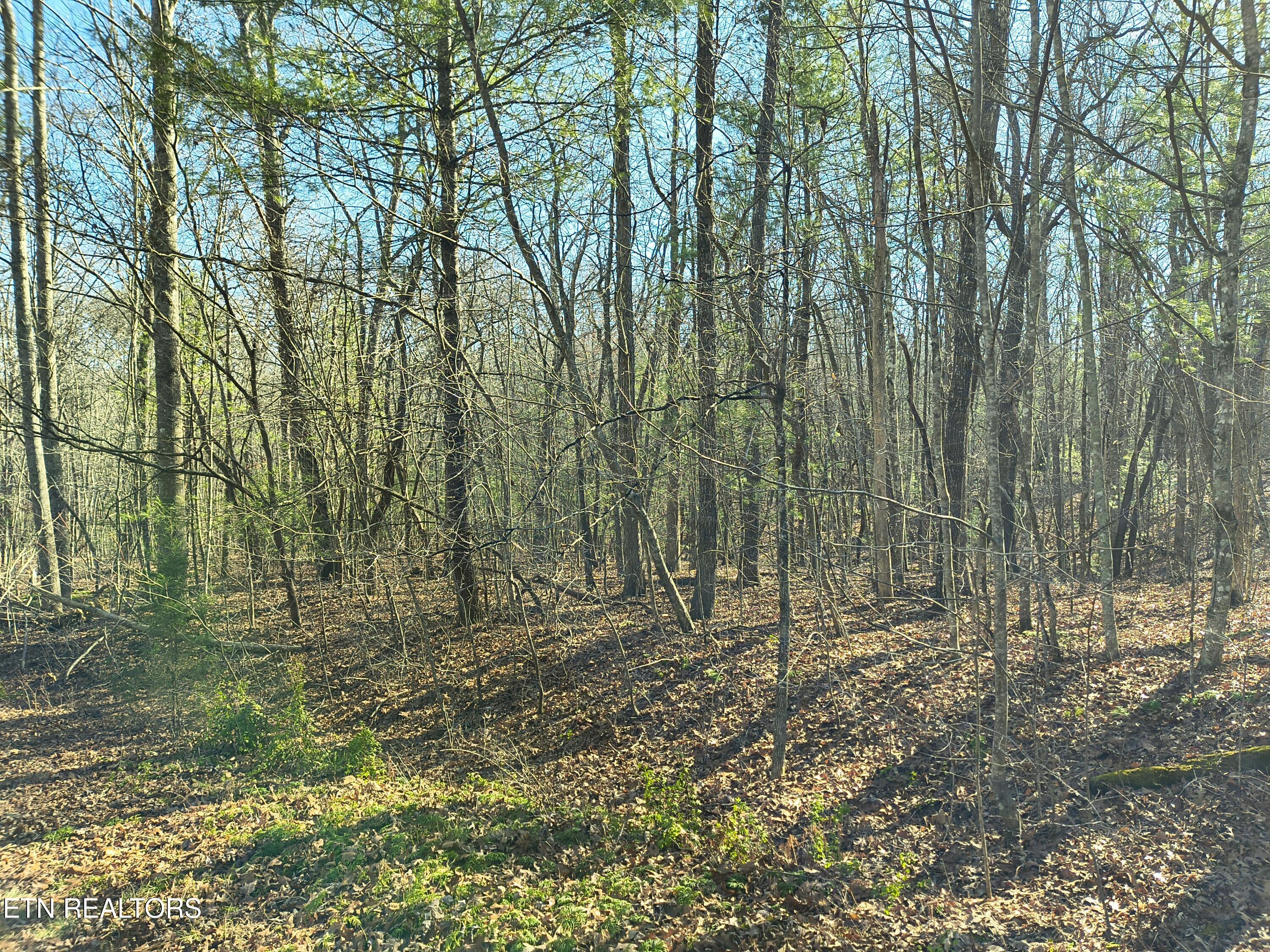 Image 2: IMG_20260101_113753903_HDR