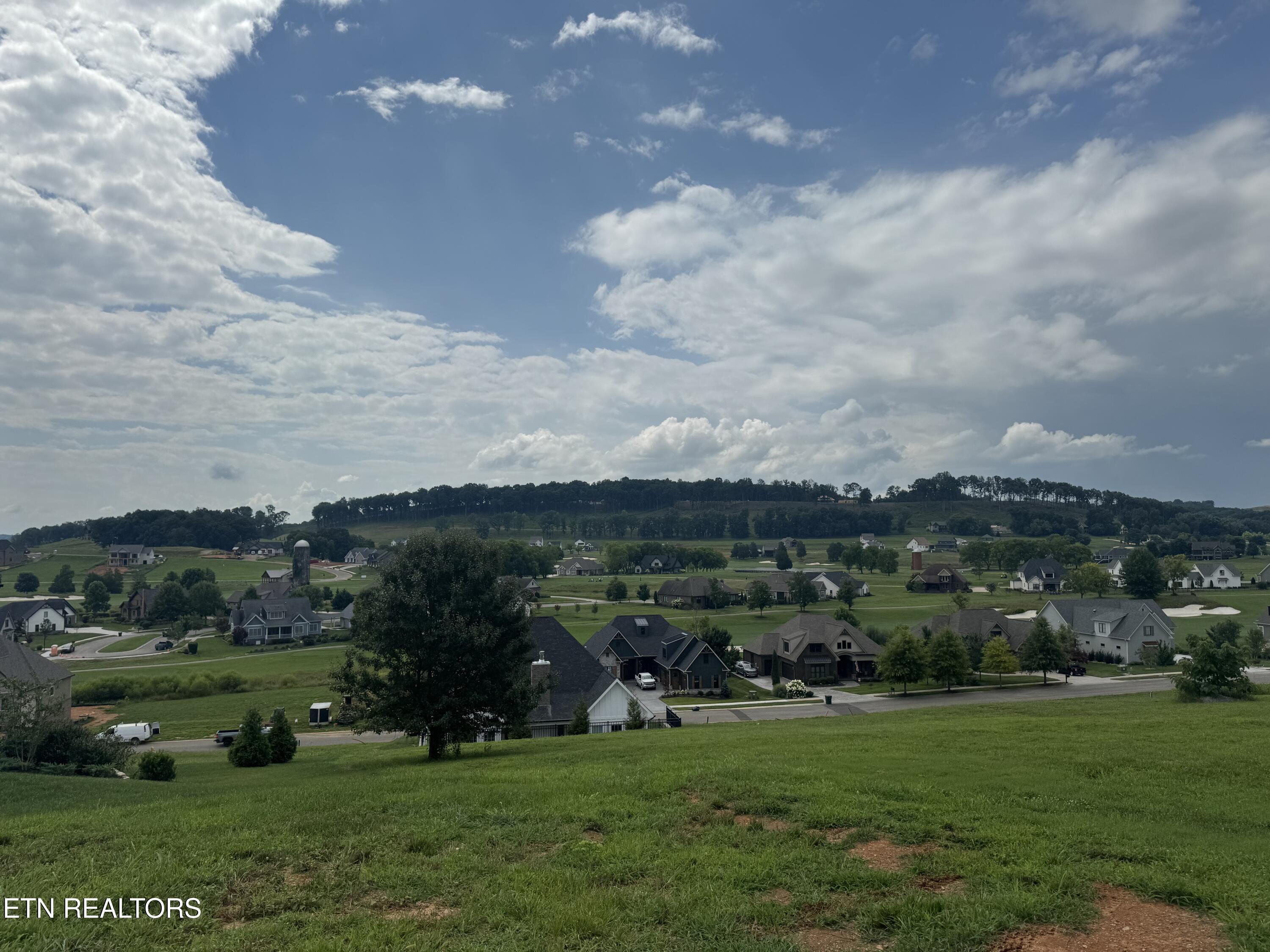 Image 2: IMG_8091