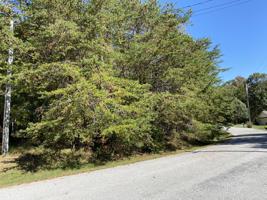 119 Laurelton Lane