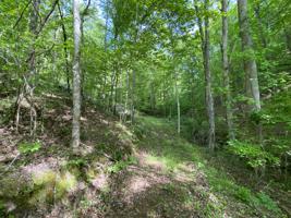 Lot 65 Black Fox Harbor Rd