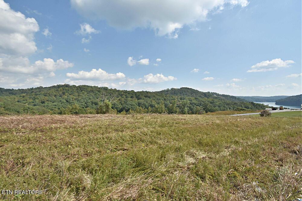 Image 2: Lot 65