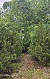 Lot 491 Citron Ln