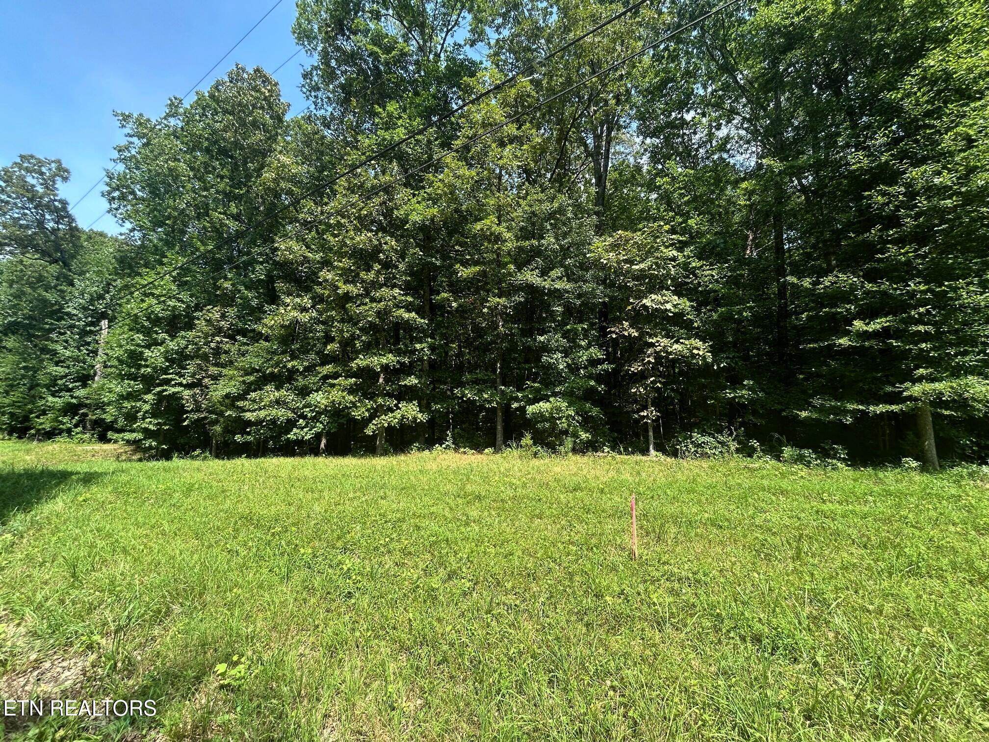 Image 3: Lakeview tract 2 roadfront 1