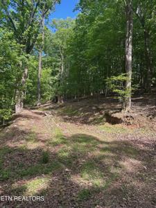 490 Fox Ridge Lane