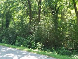 318 Chatuga Lane 10