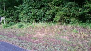 Lot 4 Nunyu Tr 4